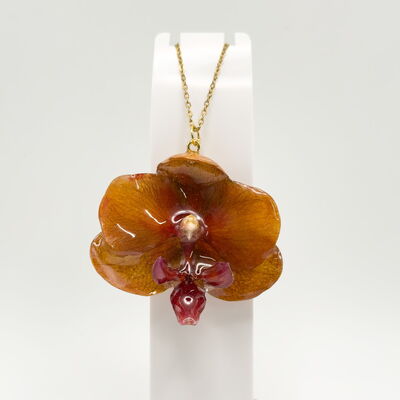 Collares
