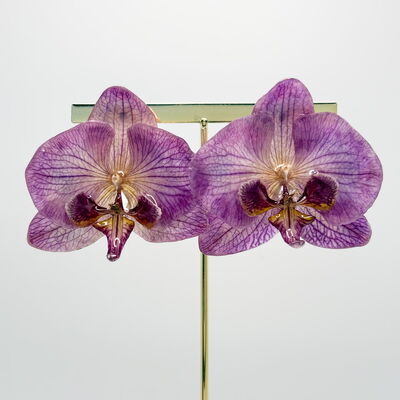 Orquídeas 
