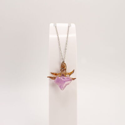 Orquídeas 