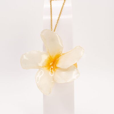 Flor de mayo