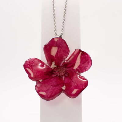 Collares